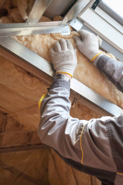 Best Geographic-Specific Insulation Services in Fanwood, NJ
